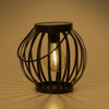 6.7 in. Round Steel Edison Bulb Lantern