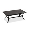 Hill Country Aged Bronze Aluminum 48 x 28 in. Coffee Table