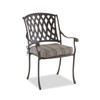 Tivoli Aged Bronze Cast Aluminum Dining Chair