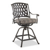 Tivoli Aged Bronze Cast Aluminum Swivel Gathering Height Chair