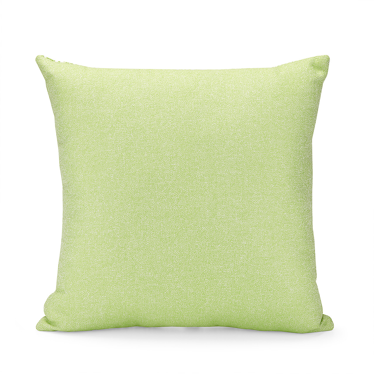 Parakeet Seaster Venus 18 x 18 in. Pillow