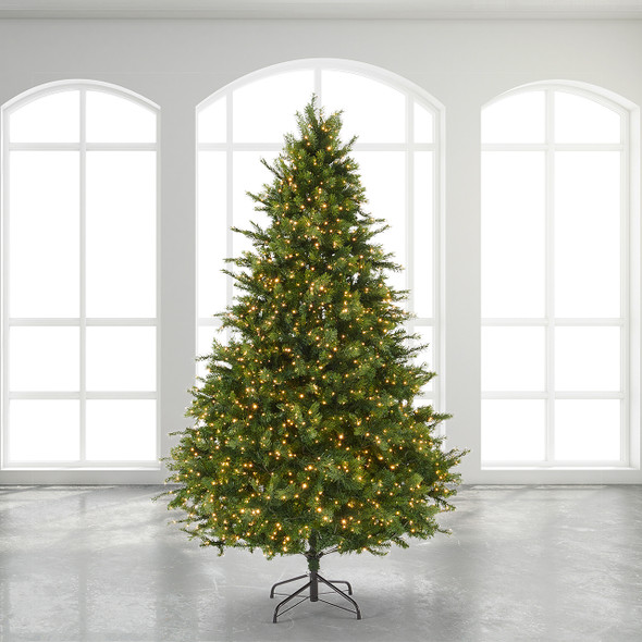 7.5 ft. Twinkling Douglas Fir Full Christmas Tree with 3000 LED Dual Lights