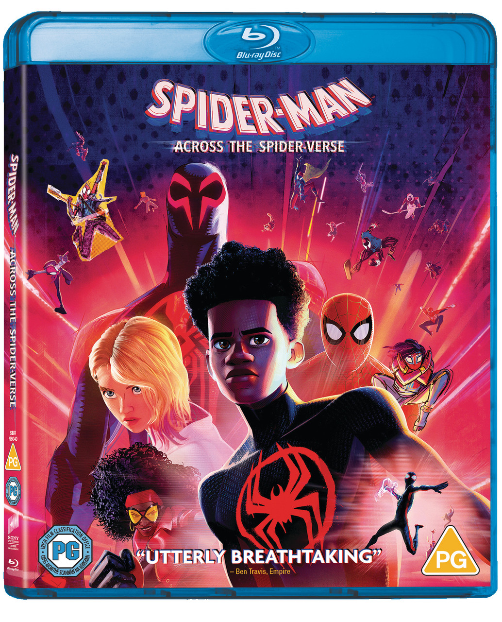 Promo Dvd elementaire ou dvd spiderman:across the spider-verse chez Hyper U