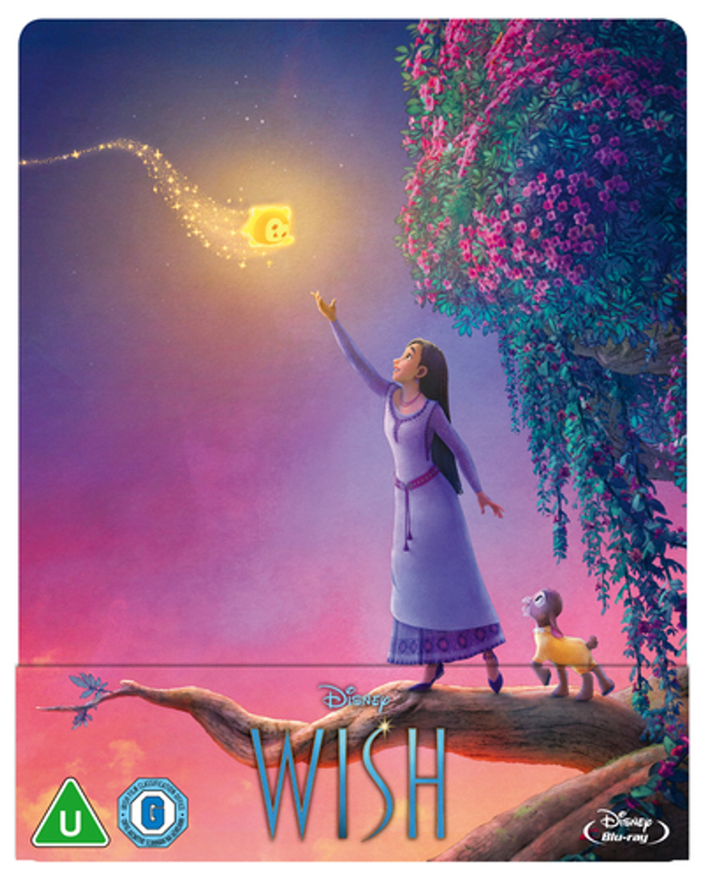 Wish (2023) [Blu-ray / Steelbook] - Planet of Entertainment