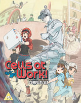 Cells at Work!: Complete Collection (2018) [Blu-ray / Normal]