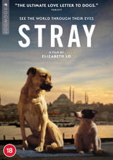 Stray (2020) [DVD / Normal]