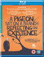 A Pigeon Sat On a Branch Reflecting On Existence (2014) [Blu-ray / Normal]