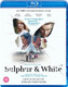 Sulphur and White (2020) [Blu-ray / Normal]