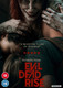 Evil Dead Rise (2023) [DVD / Normal]