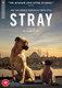 Stray (2020) [DVD / Normal]