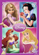 Disney Princess Collection (2010) [DVD / Box Set]