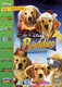 Buddies Collection (2013) [DVD / Box Set]