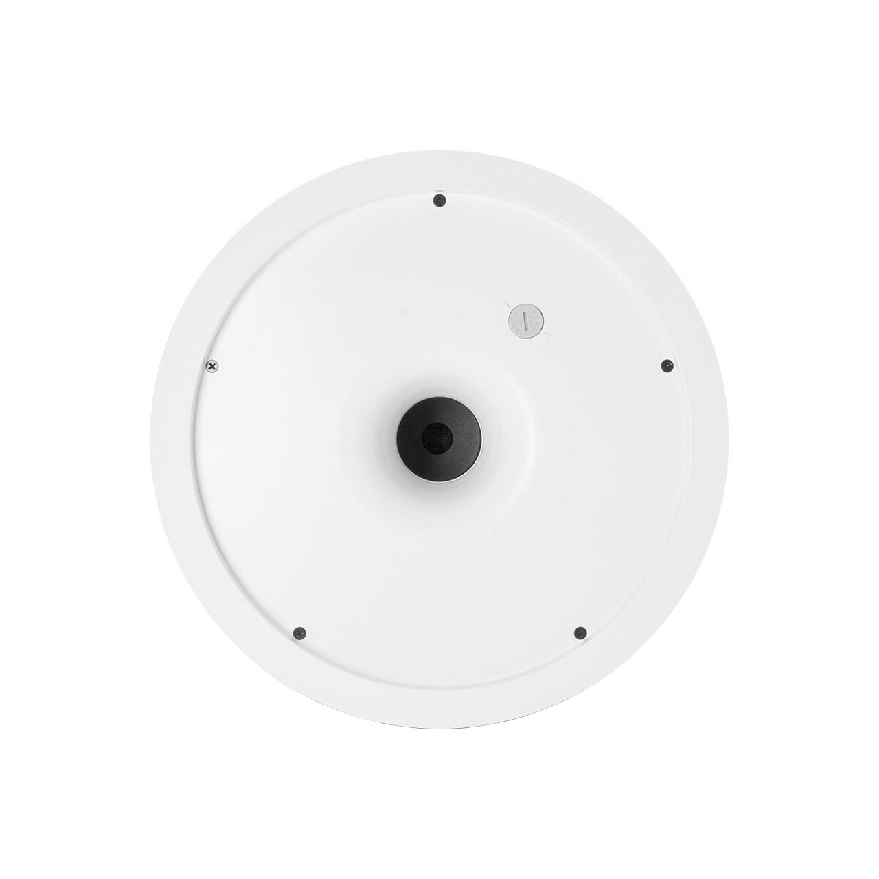 Control 19CST In-Ceiling Subwoofer -