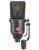 Neumann TLM 170 R Multi-Pattern Studio Condenser Microphone Stereo Set mic only