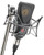 Neumann TLM 103 Cardioid Condenser Microphone Mono Set mounted