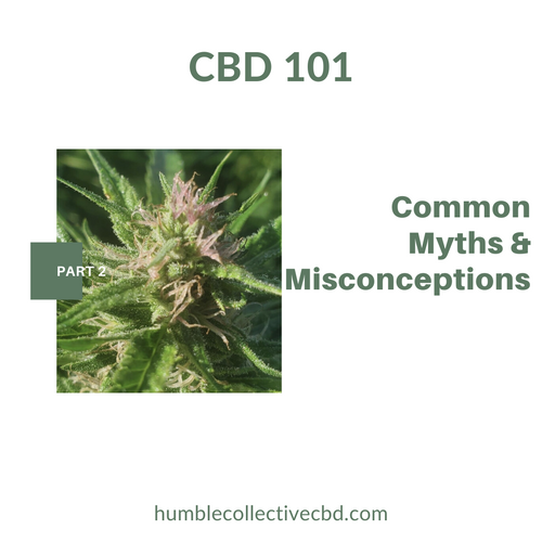 CBD 101: Part 2 "CBD Myths and Misconceptions"