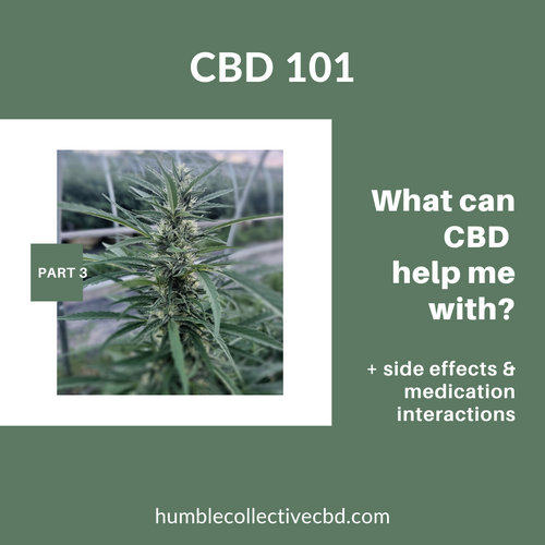 CBD 101: Part 3 "What can CBD help with? Plus, CBD Side Effects and Medication Interactions"