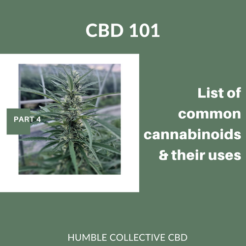 CBD 101: Part 4 "Alternate Cannabinoids"