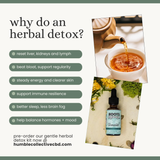 Gentle Herbal Detox Kit