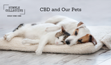 CBD & Our Pets: a Guide