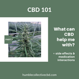 CBD 101: Part 3 "What can CBD help with? Plus, CBD Side Effects and Medication Interactions"