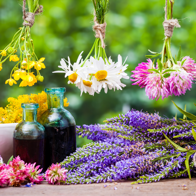 A vibrant herbal apothecary scene featuring fresh herbs and wildflowers. Bundles of yellow, white, and pink flowers (including daisies and clover) hang upside down to dry, while bunches of lavender and other blossoms are arranged on a rustic wooden surface. Two vintage glass tincture bottles filled with dark herbal extract sit in the foreground. The blurred green background evokes a lush, sunlit garden—perfectly reflecting the natural, handcrafted spirit of your bulk herb offerings.