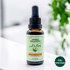 Humble Collective Seed-to-Bottle CBDA Blend Full Spectrum CBD Oil bottle with light green label. Shown in bright natural light with blurred greenery in the background. 1000 mg CBD/CBDA tincture for pain and wellness.