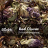 Bulk Dried Herbs: $5/2oz
