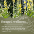 Foraged Wellness July Box