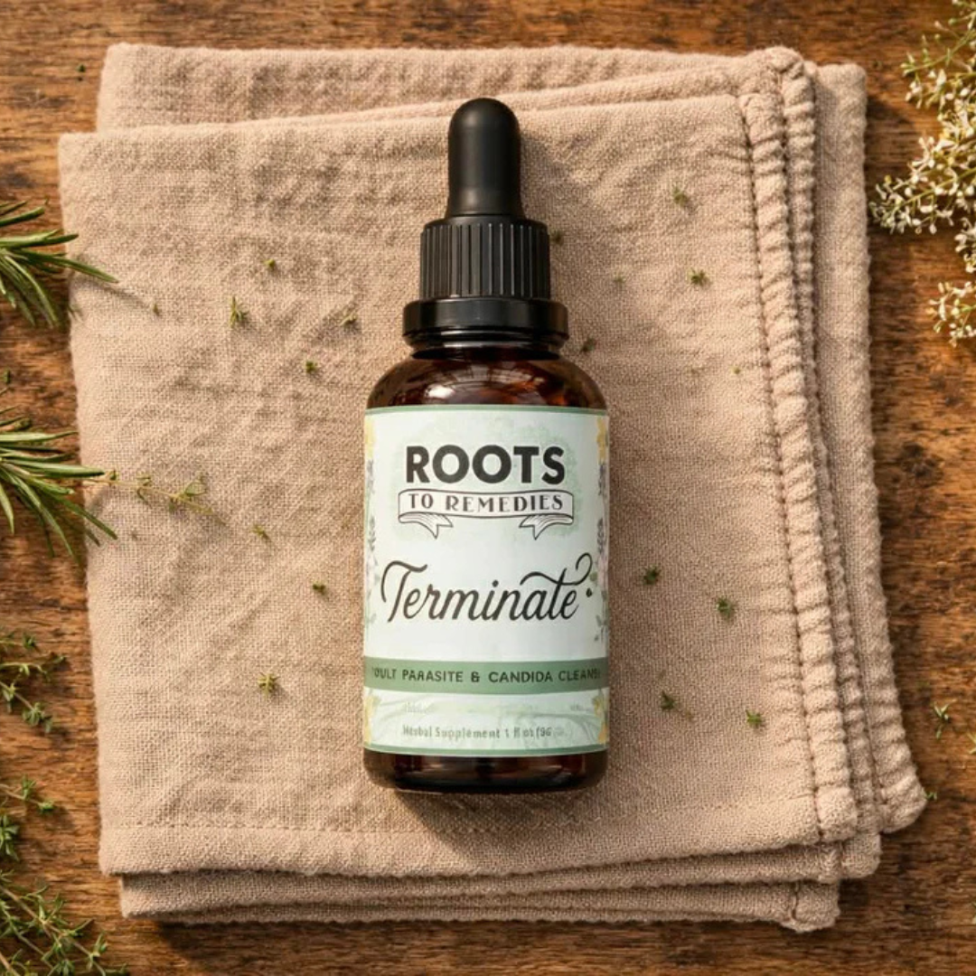 Digestion + Gut Wellness