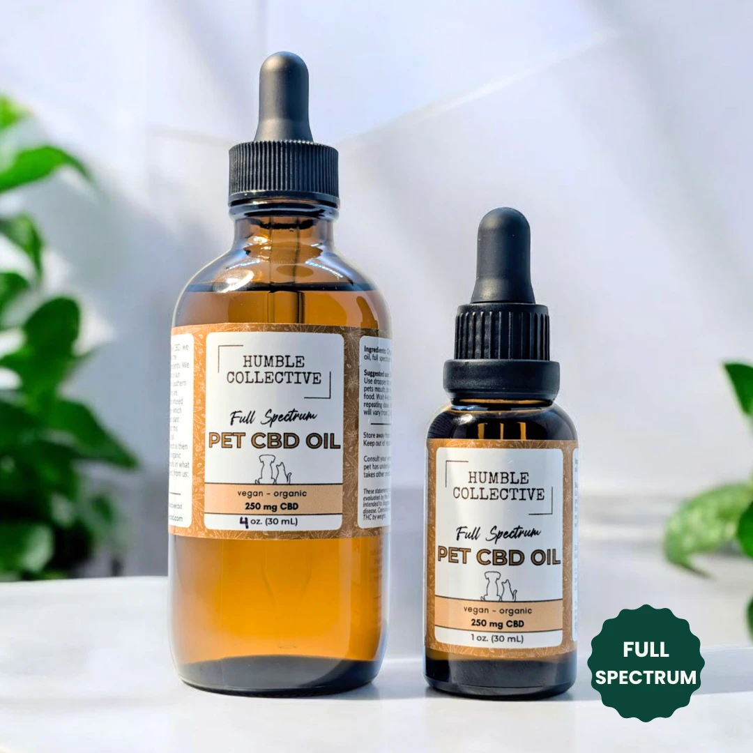 CBD for Pets