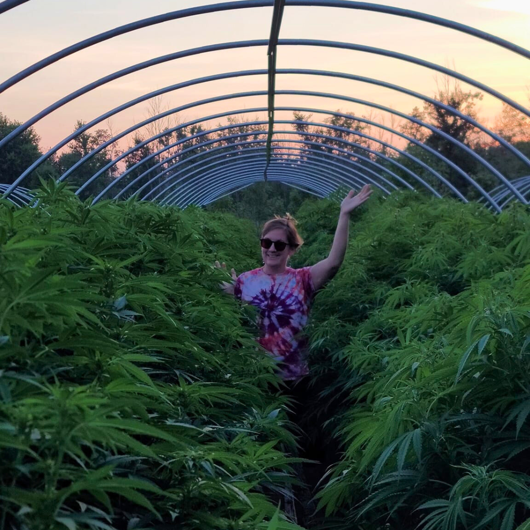 sarah-hemp-plants-edited.png