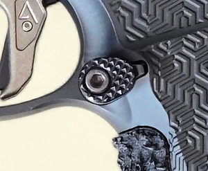 Smith & Wesson Competitor Mag Release Paddle Face