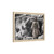 Jesus was the first breacher Framed Canvas