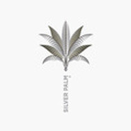 Silver Palm