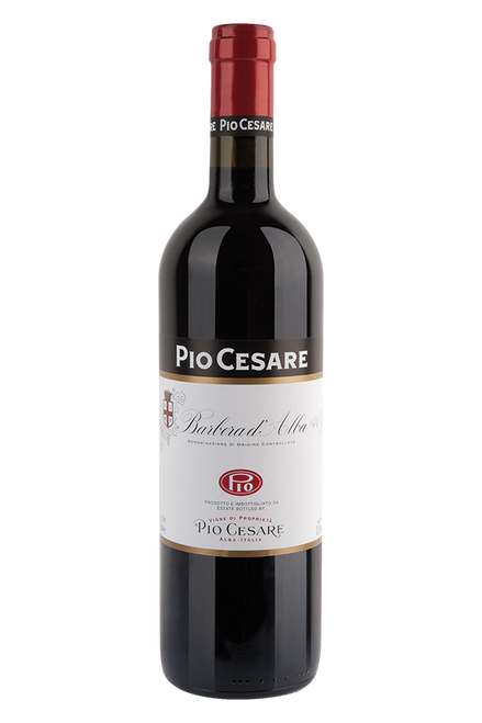 Pio Cesare Barbera d'Alba DOC 2023