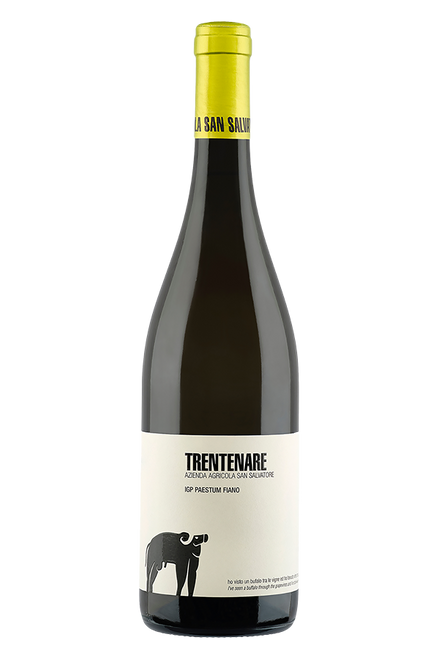 San Salvatore 19.88 Trentenare Paestum Fiano 2024