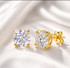 Velloss Signature Moissanite Stud Earrings