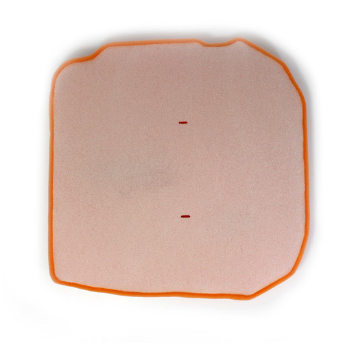 Twin Air 158320N Air Filter