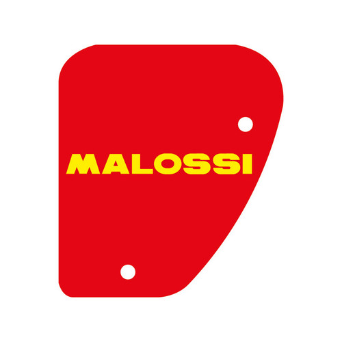 Malossi 1411418 Air Filter