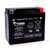 YTX20HL-PW FACTORY ACTIVATED 12V BATTERY