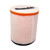 Twin Air 150915 Air Filter