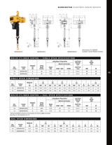 NER Cylinder Control Electric Chain Hoist 6' Lift-Capacity 1/8 Ton NER001HCC Electric Chain Trolley HARRINGTON