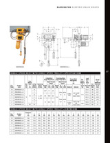 SNERM Electric Chain Hoist with Motorized Trolley 15' Lift-Capacity 2 Tons SNERM020L-L/S Electric Chain Hoist with Motorized Trolley HARRINGTON
