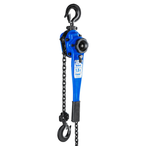 Tractel QS Bravo, 1.5T W/10' Lift
