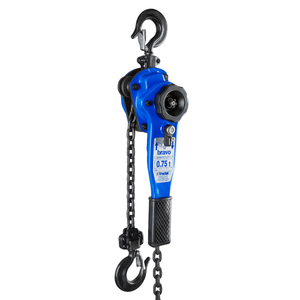 Tractel QS Bravo, 3/4T W/10' Lift
