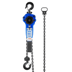 Tractel QS Bravo, 1/2T W/10' Lift
