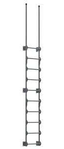 Vestil Steel Walk Through Dock Ladder - 10 Step 300 lb - Gray Semi Gloss