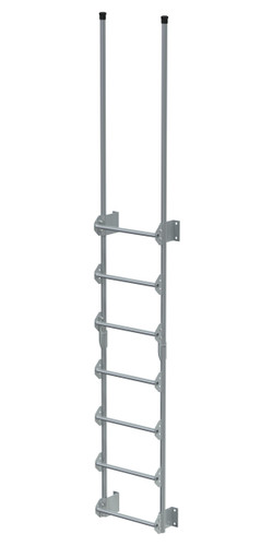 Vestil Steel Walk Through Dock Ladder - 7 Step 300 lb - Silver