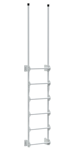 Vestil Steel Walk Through Dock Ladder - 6 Step 300 lb - White